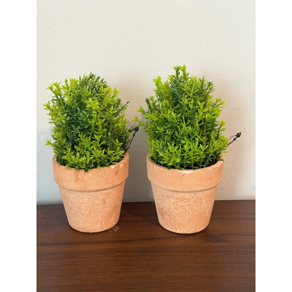 Set of 2 Artificial Boxwood Topiary Plants in Rustic Terracotta Pots 6 Inch